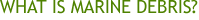 What is marine debris?